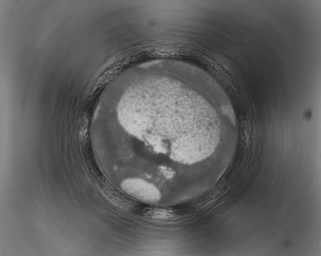 X0000115490507200912041019