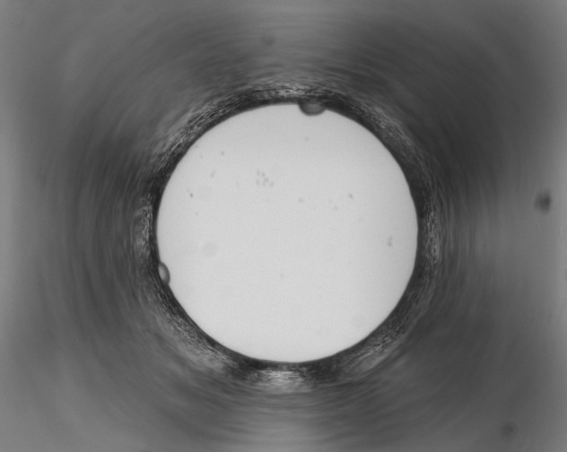 X0000115490509200912041018
