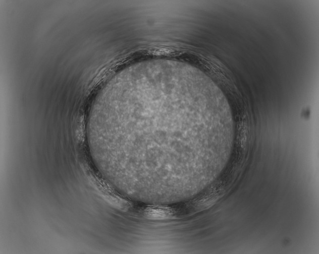 X0000115490510200912041018