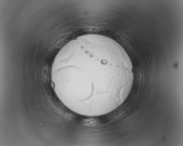 X0000115490511200912041018
