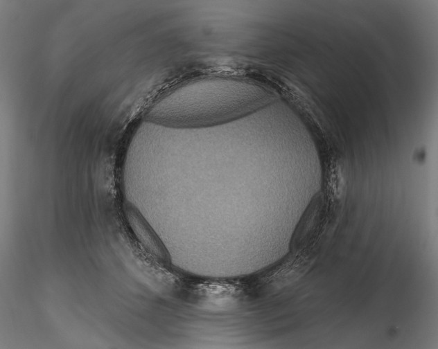 X0000115490512200912041018