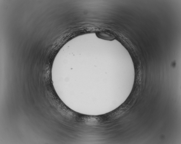 X0000115490513200912041018