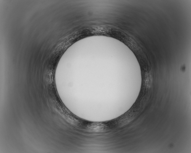 X0000115490514200912041018