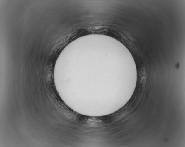 X0000115490515200912041018