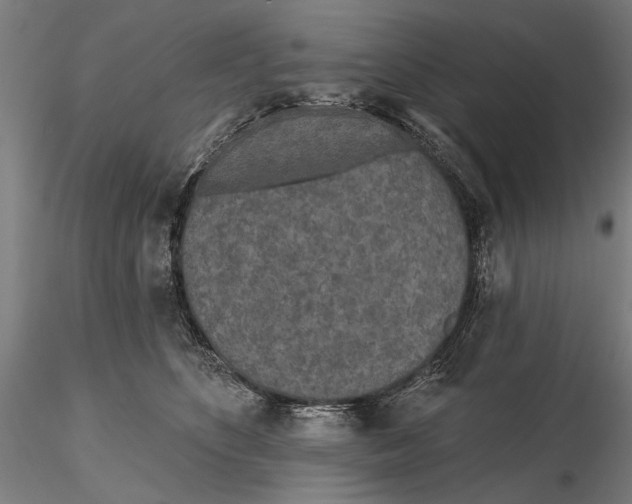 X0000115490516200912041018