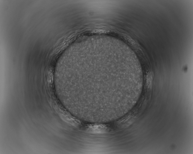X0000115490517200912041018