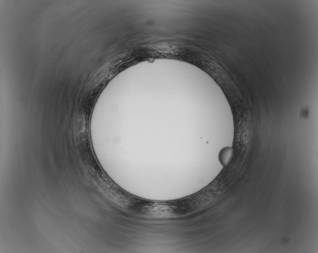 X0000115490518200912041018