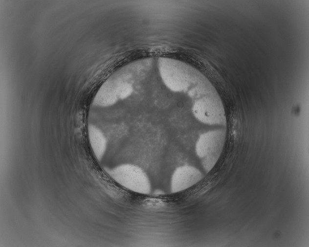 X0000115490519200912041018