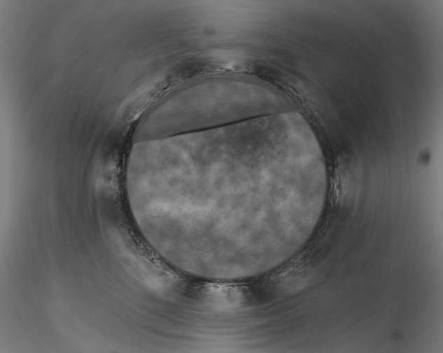 X0000115490520200912041018