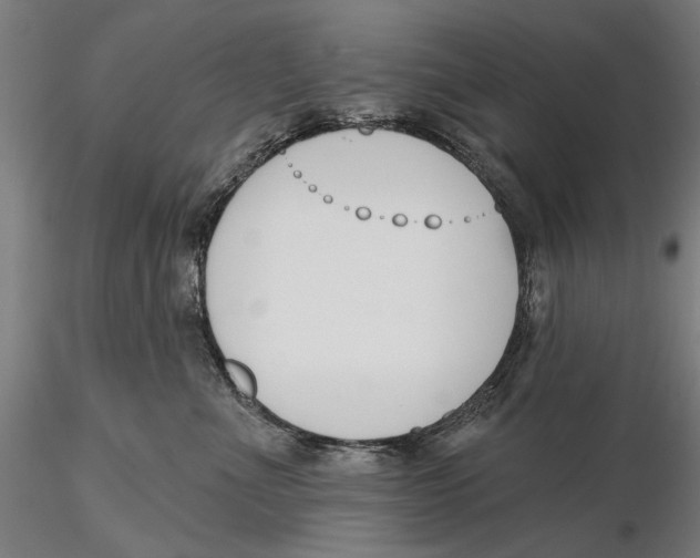 X0000115490523200912041018