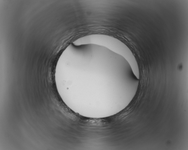 X0000115490524200912041018