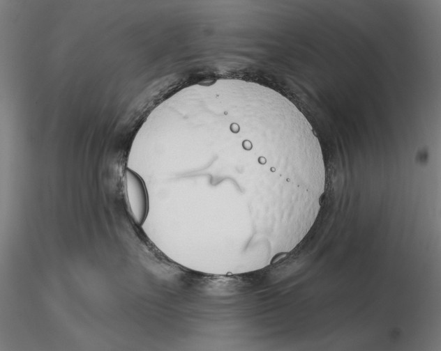 X0000115490527200912041018
