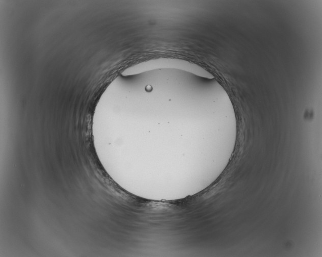 X0000115490528200912041018