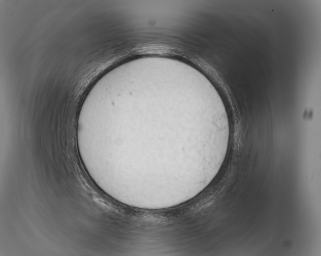 X0000115490529200912041018
