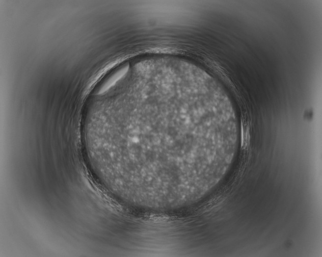 X0000115490531200912041018