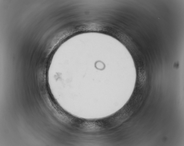 X0000115490534200912041018