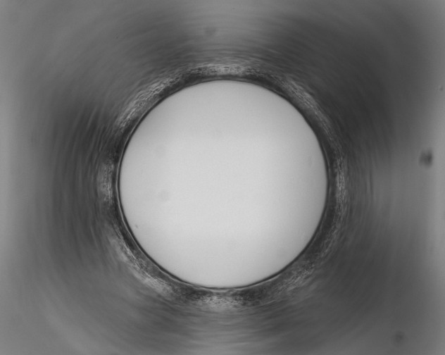 X0000115490537200912041018