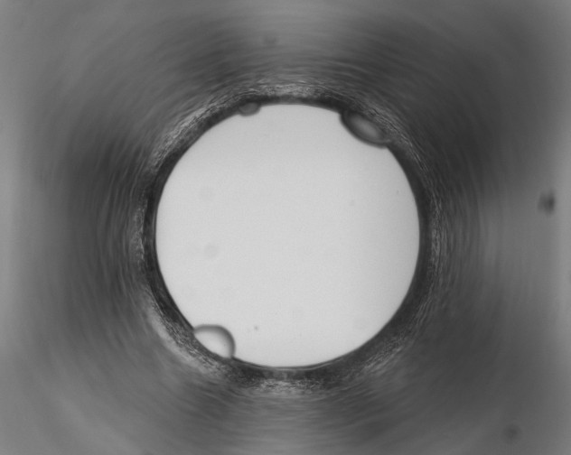 X0000115490538200912041018