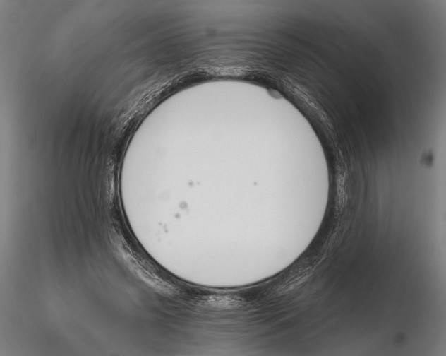 X0000115490541200912041018