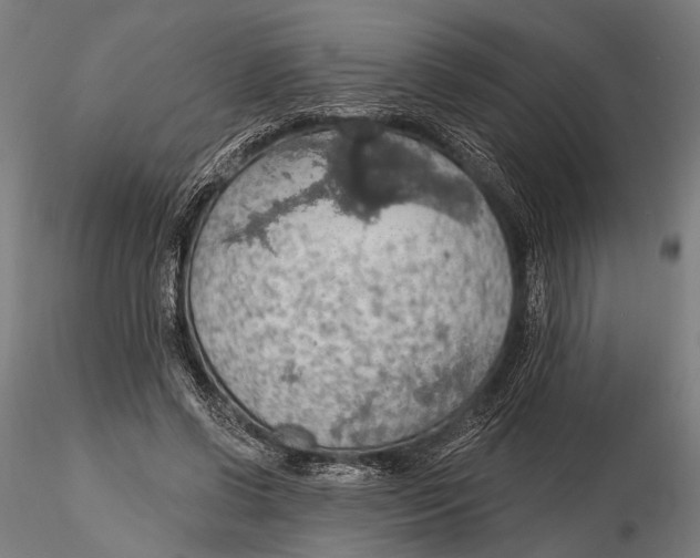 X0000115490542200912041018