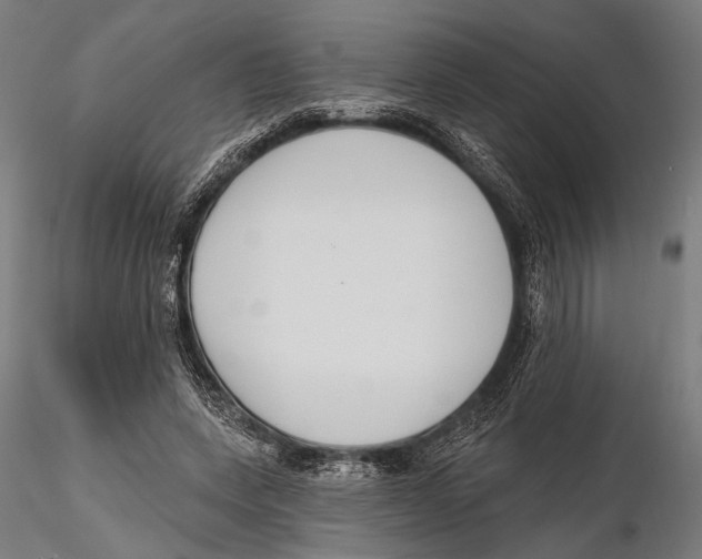 X0000115490543200912041018