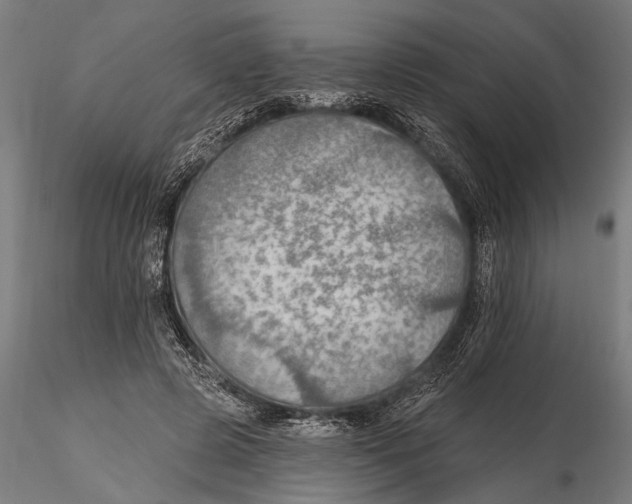 X0000115490545200912041018