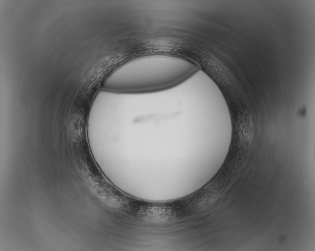 X0000115490546200912041018