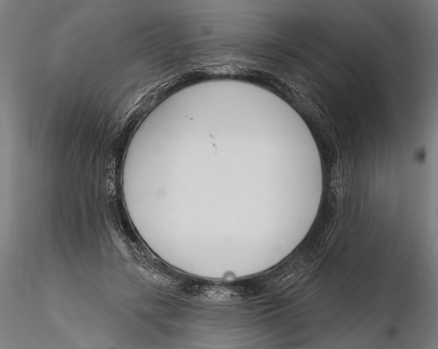 X0000115490547200912041018