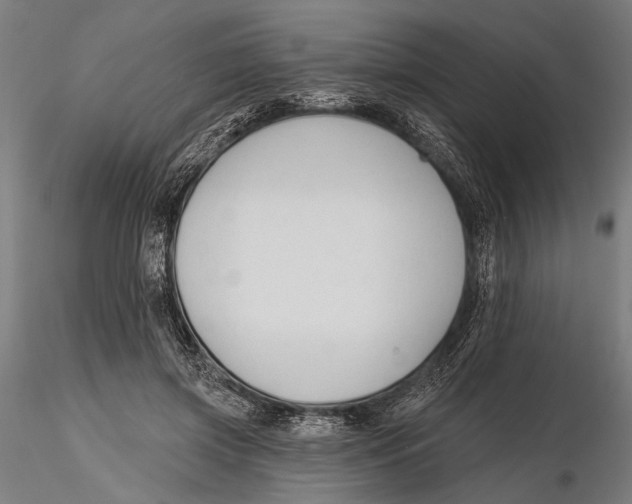 X0000115490549200912041018