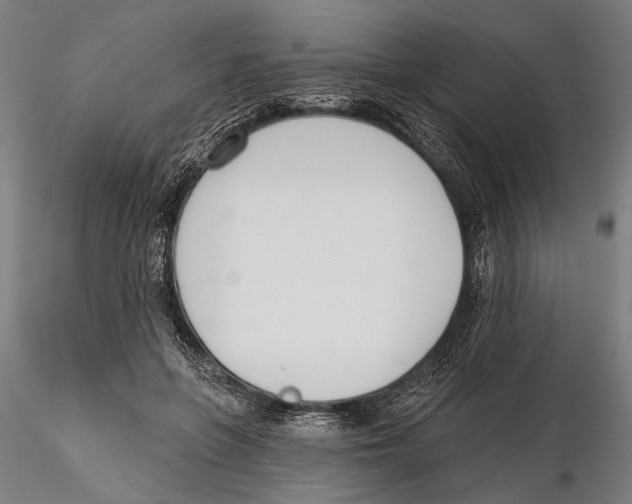 X0000115490551200912041018