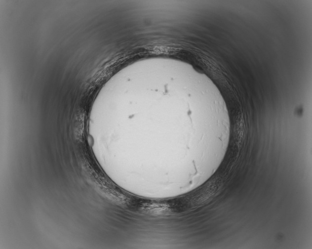 X0000115490554200912041018