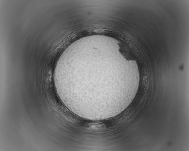 X0000115490555200912041018