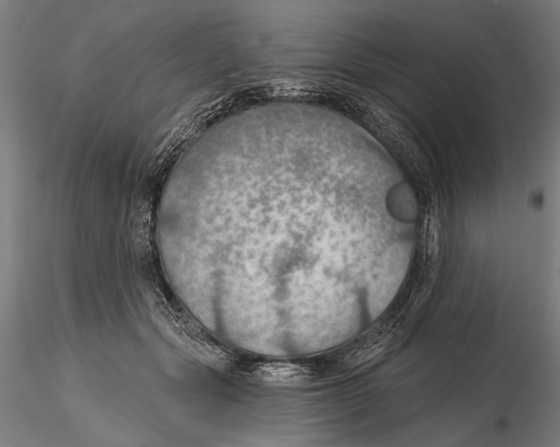 X0000115490557200912041018