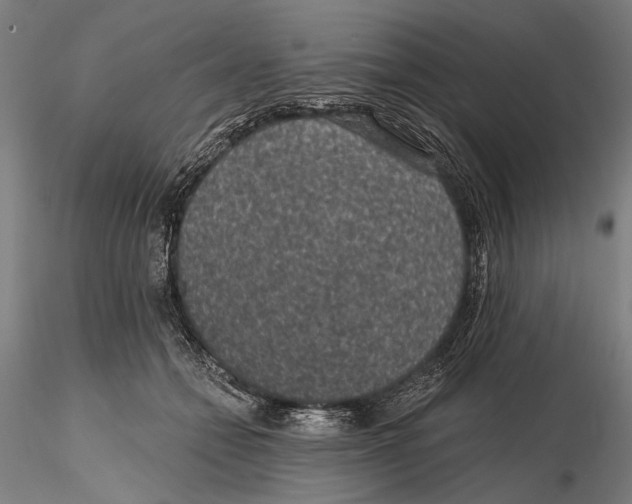 X0000115490558200912041018