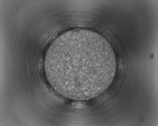 X0000115490559200912041018