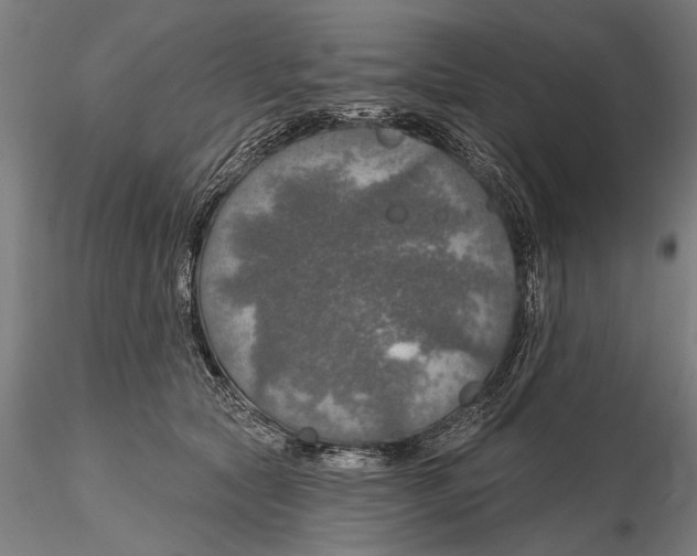 X0000115490561200912041018