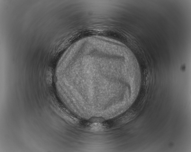 X0000115490562200912041018