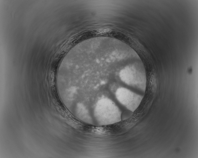 X0000115490565200912041018