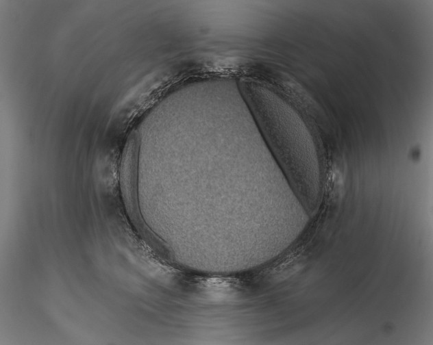 X0000115490566200912041018