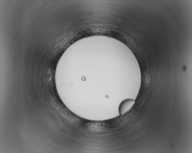 X0000115490567200912041018