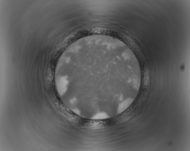 X0000115490569200912041018