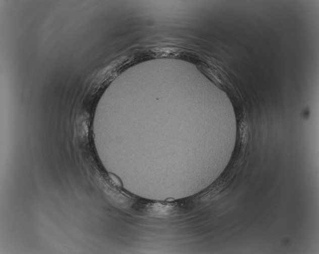 X0000115490570200912041018