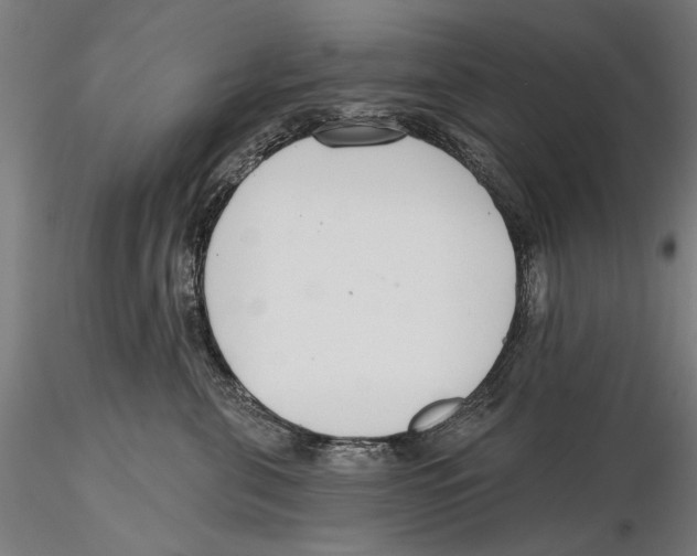 X0000115490571200912041018