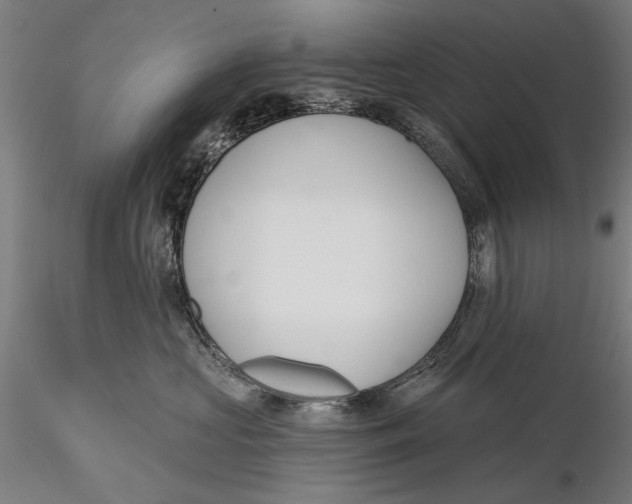 X0000115490573200912041018