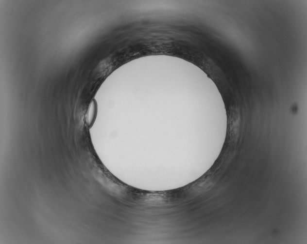 X0000115490574200912041018
