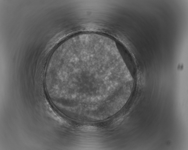 X0000115490577200912041018