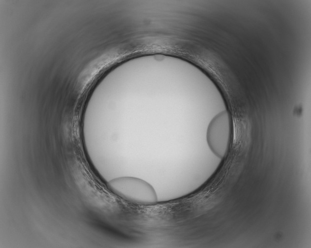 X0000115490579200912041018