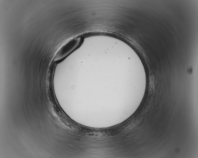 X0000115490580200912041018