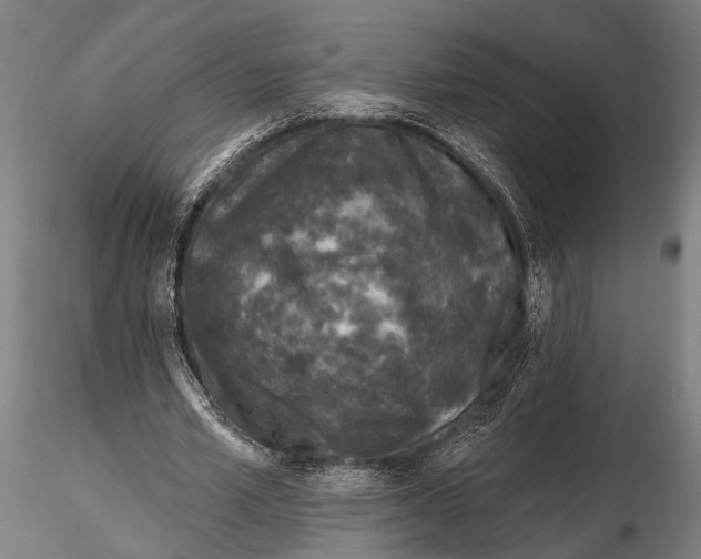 X0000115490581200912041018