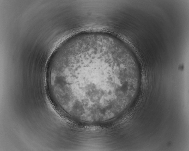 X0000115490582200912041017